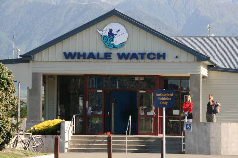 Nieuw-Zeeland 2011 - 1193